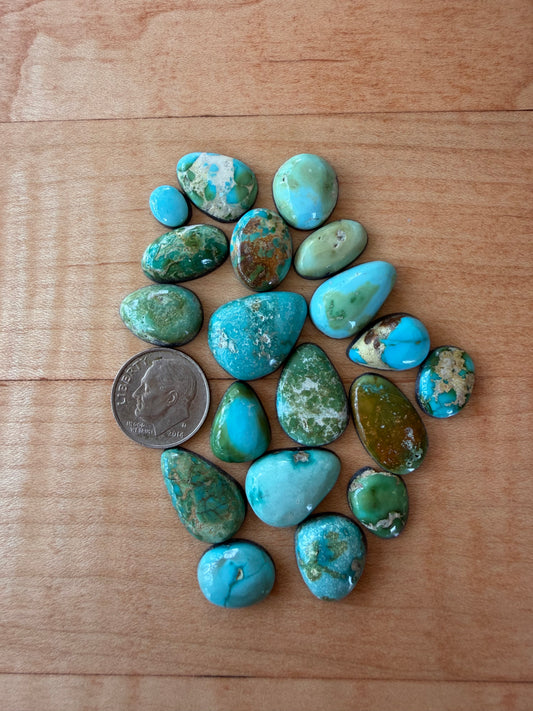 Sonoran mountain lot #1